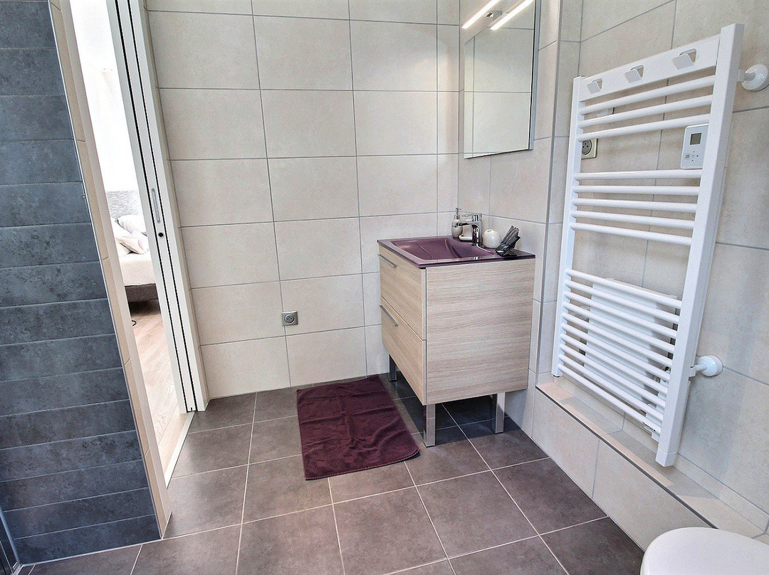 Logis Saponine主图