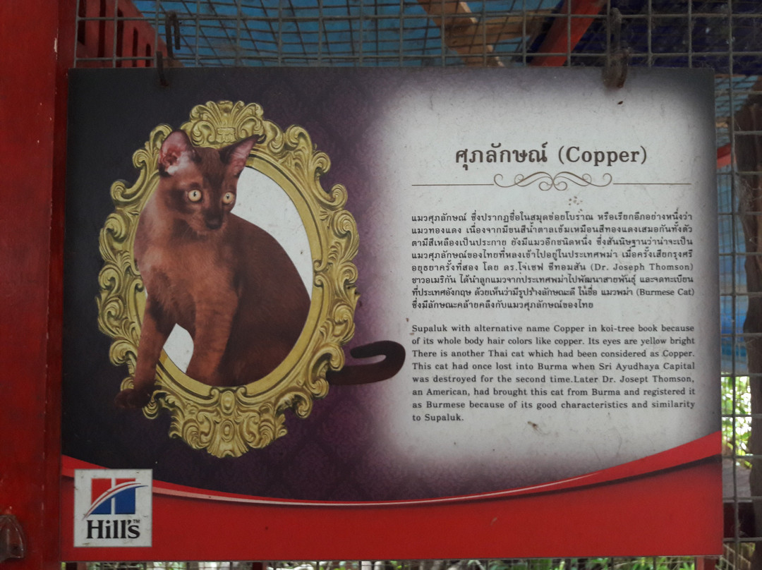 Thai Cat Center景点图片