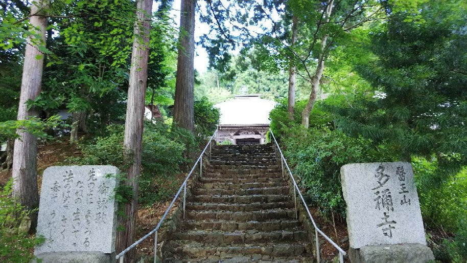 Taneji Temple景点图片