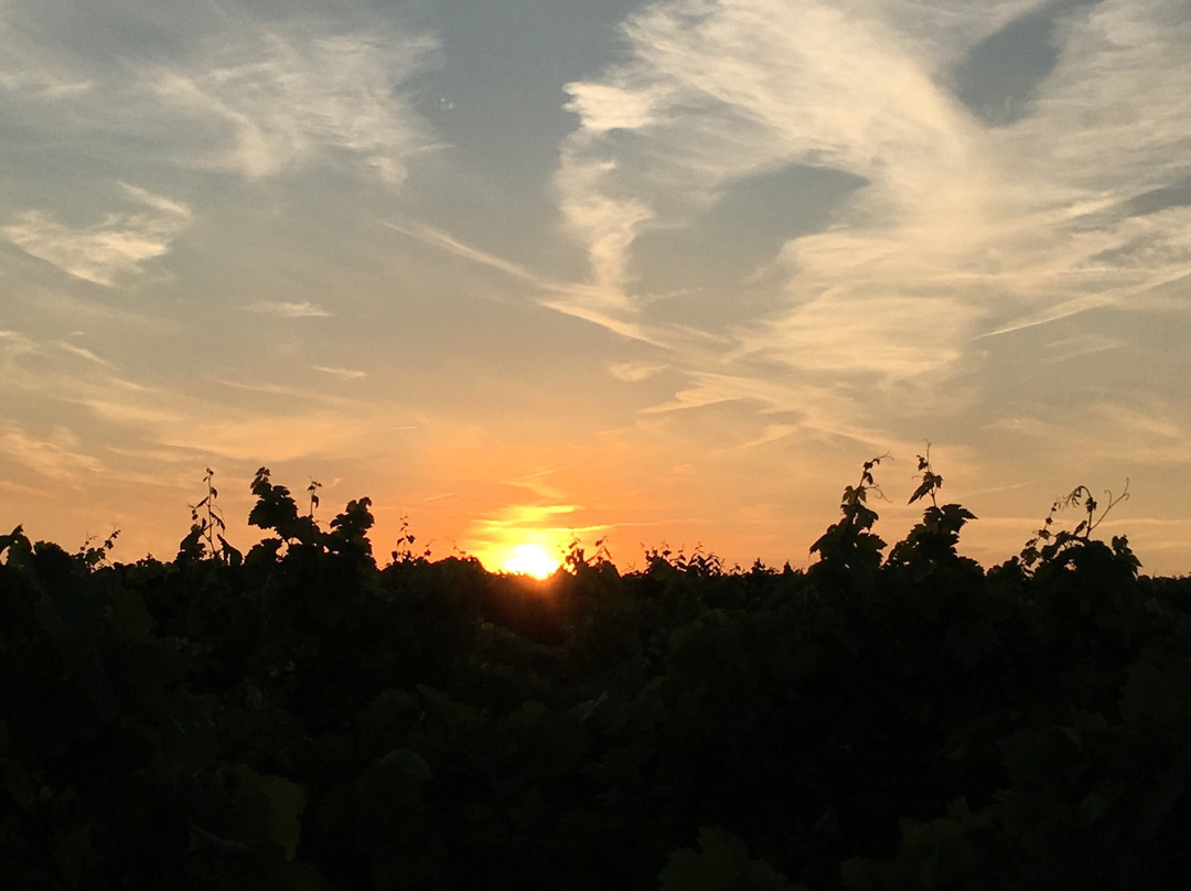 Landgut Schill主图