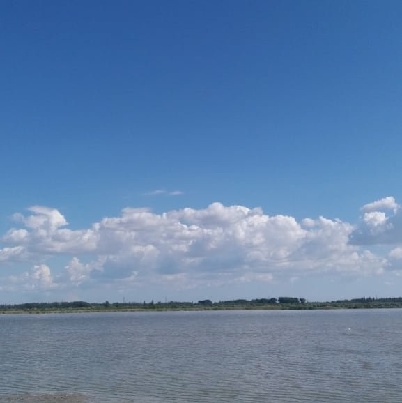 Salt Lake Preserve-Hola Prystan必去景点