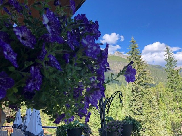 Glenogle Mountain Lodge & Spa主图