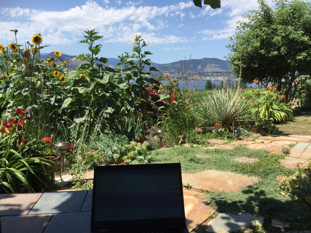 Sutherland Blueberry Bed & Breakfast主图