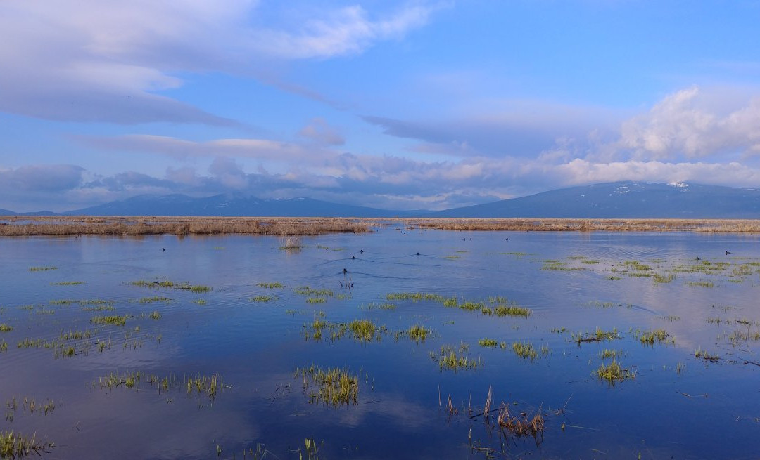 Wood River Wetland-克拉马斯福尔斯必去景点