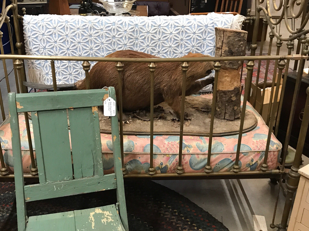 Rhode Island Antiques Mall-Pawtucket必去景点