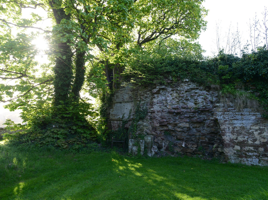 Lindores Abbey Ruins-Newburgh必去景点