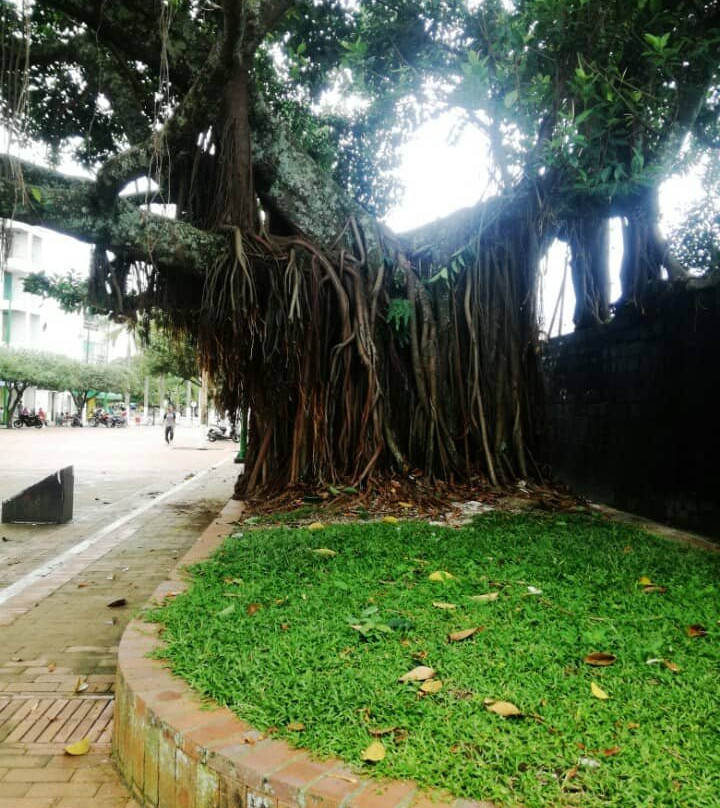 Hotel Arboleda主图