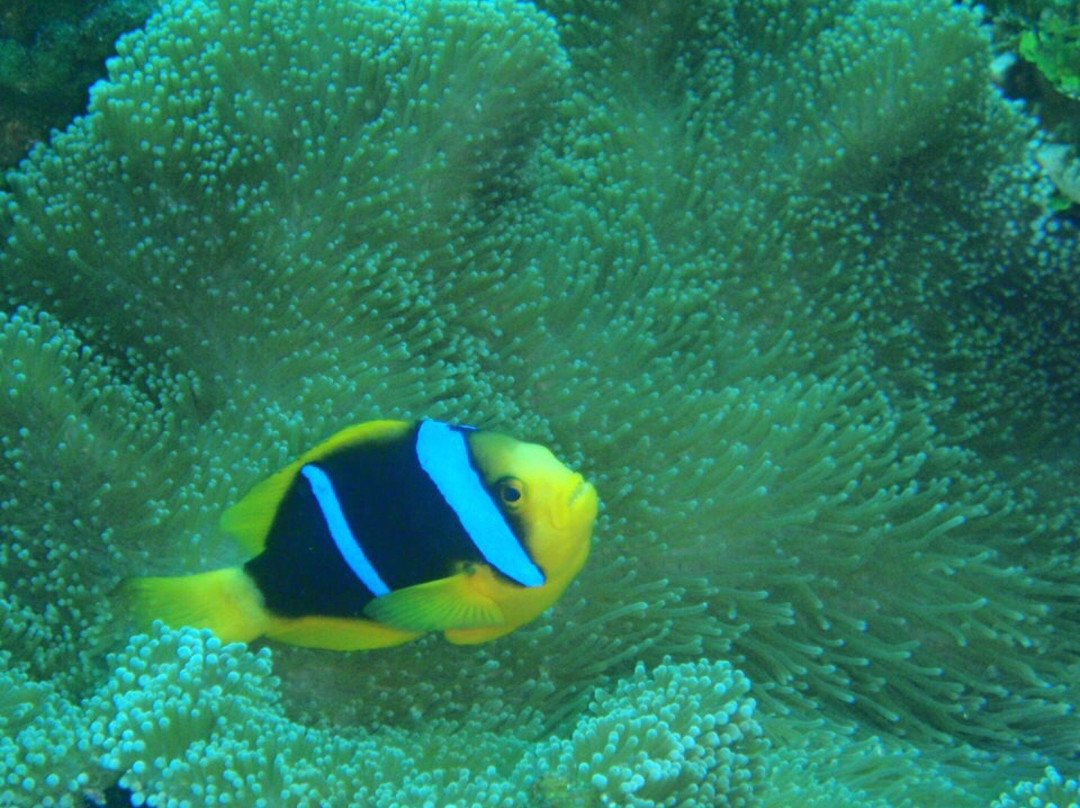 S2 Club Guam-Piti必去景点