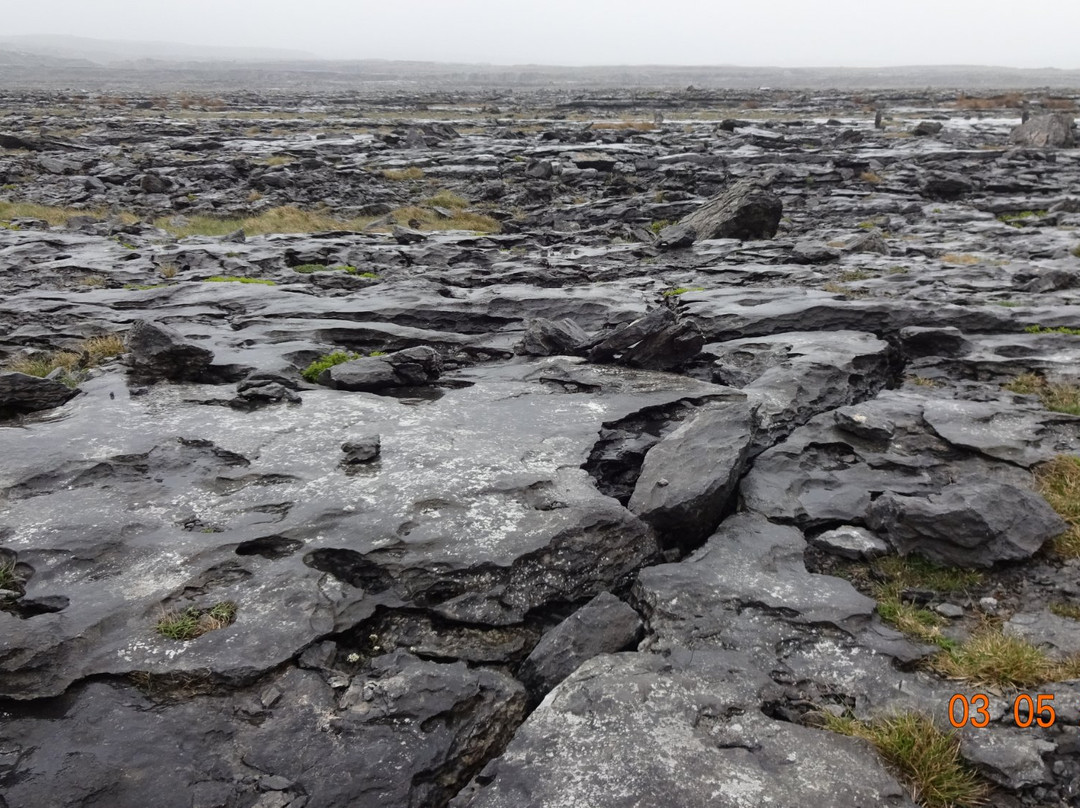 Burren Coastline Drive-克莱尔郡必去景点