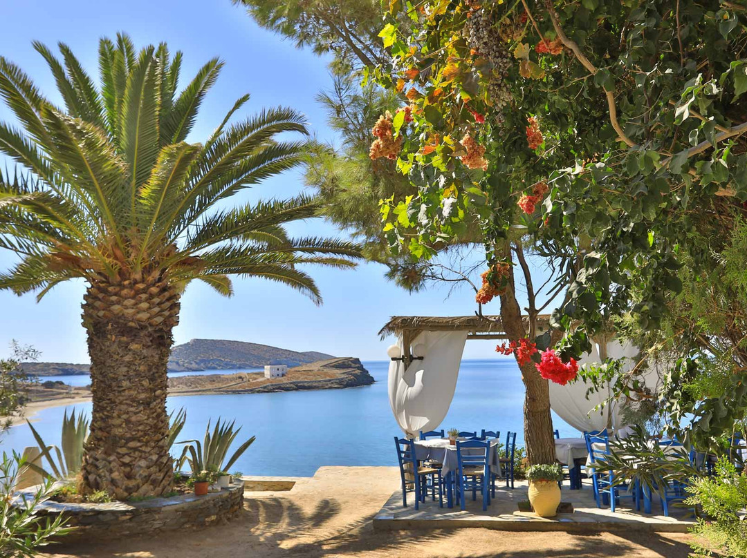 Schinoussa餐馆和美食-Captain Cook Restaurant