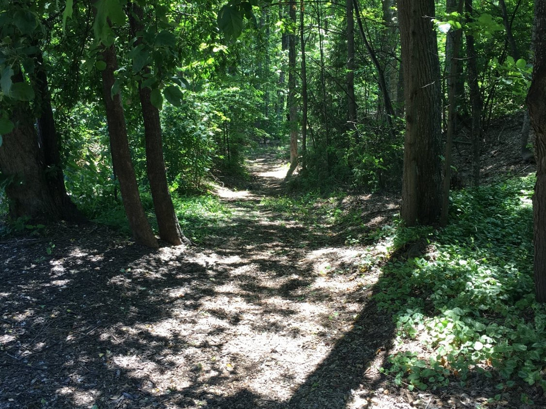 The Landing Resort主图