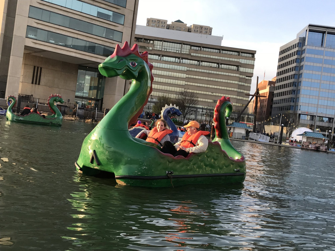 Inner Harbor Paddle Boats景点图片