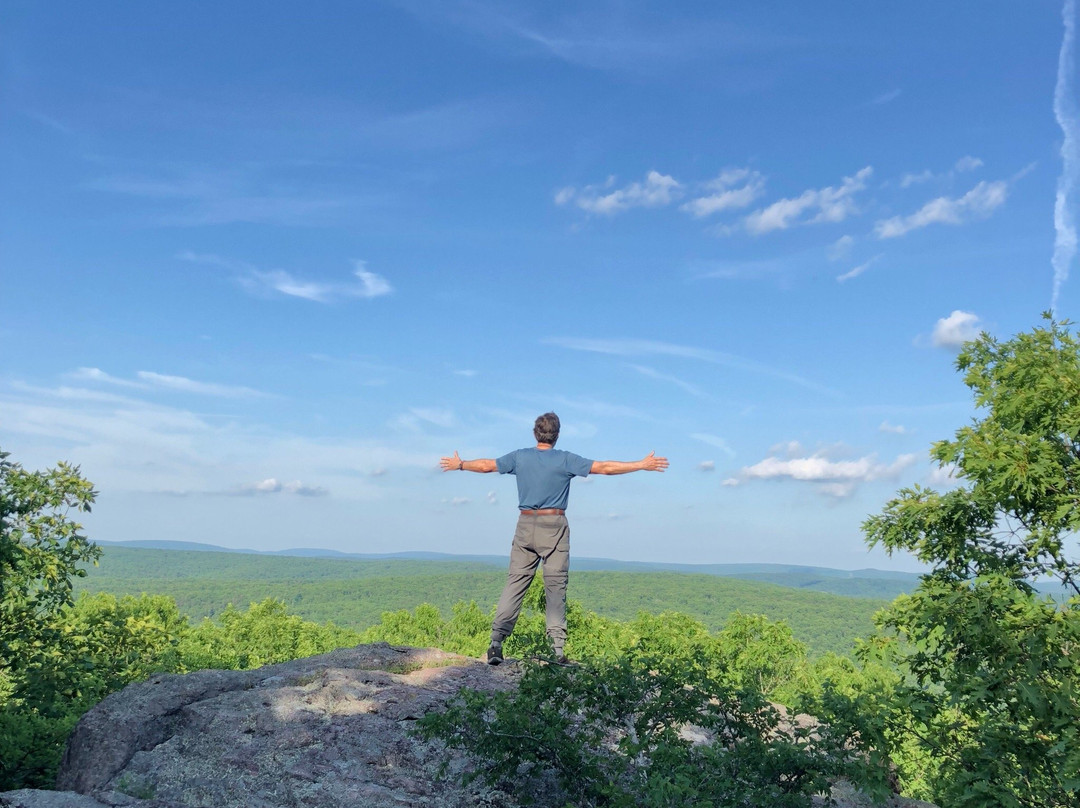 Mark Twain National Forest-罗拉必去景点