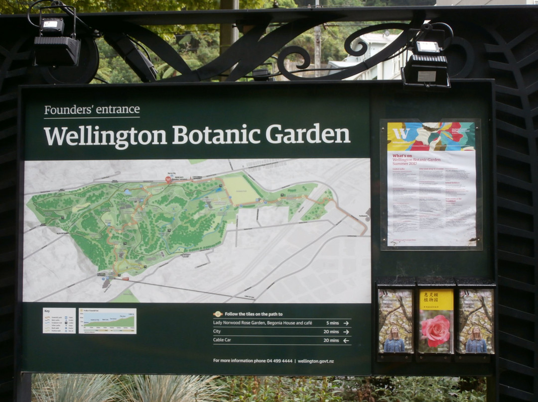 惠灵顿植物园景点图片