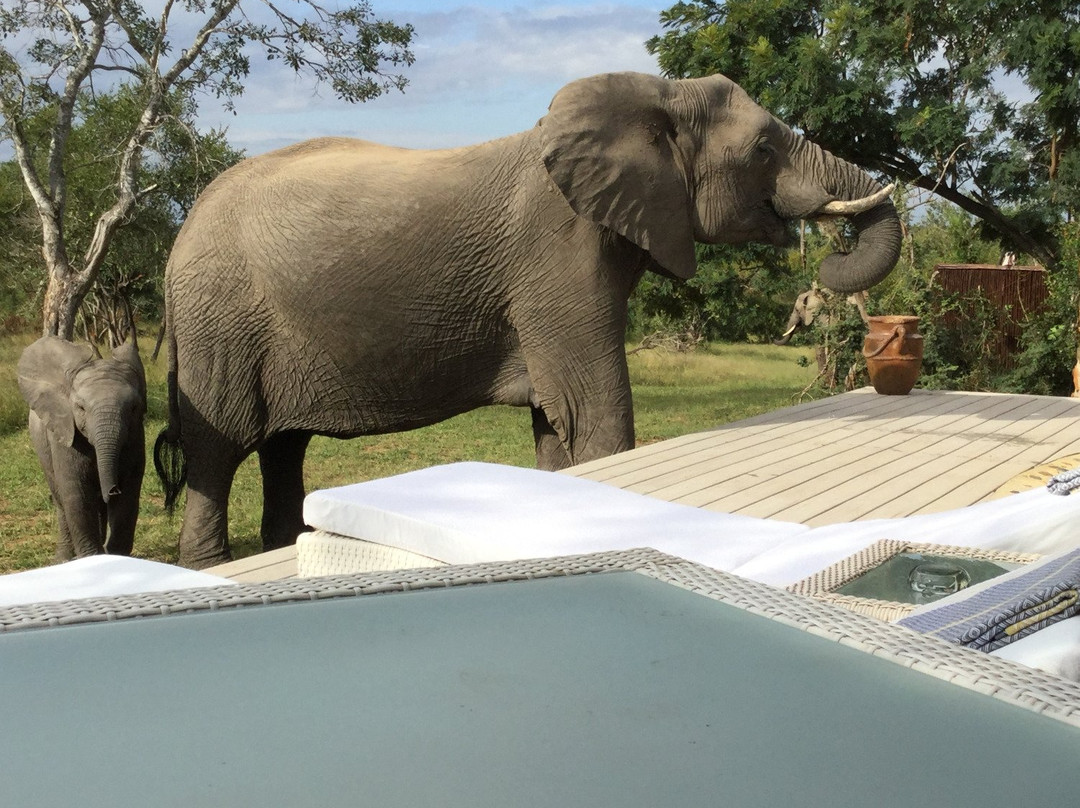 Leopard Hills Private Game Reserve Hotel主图