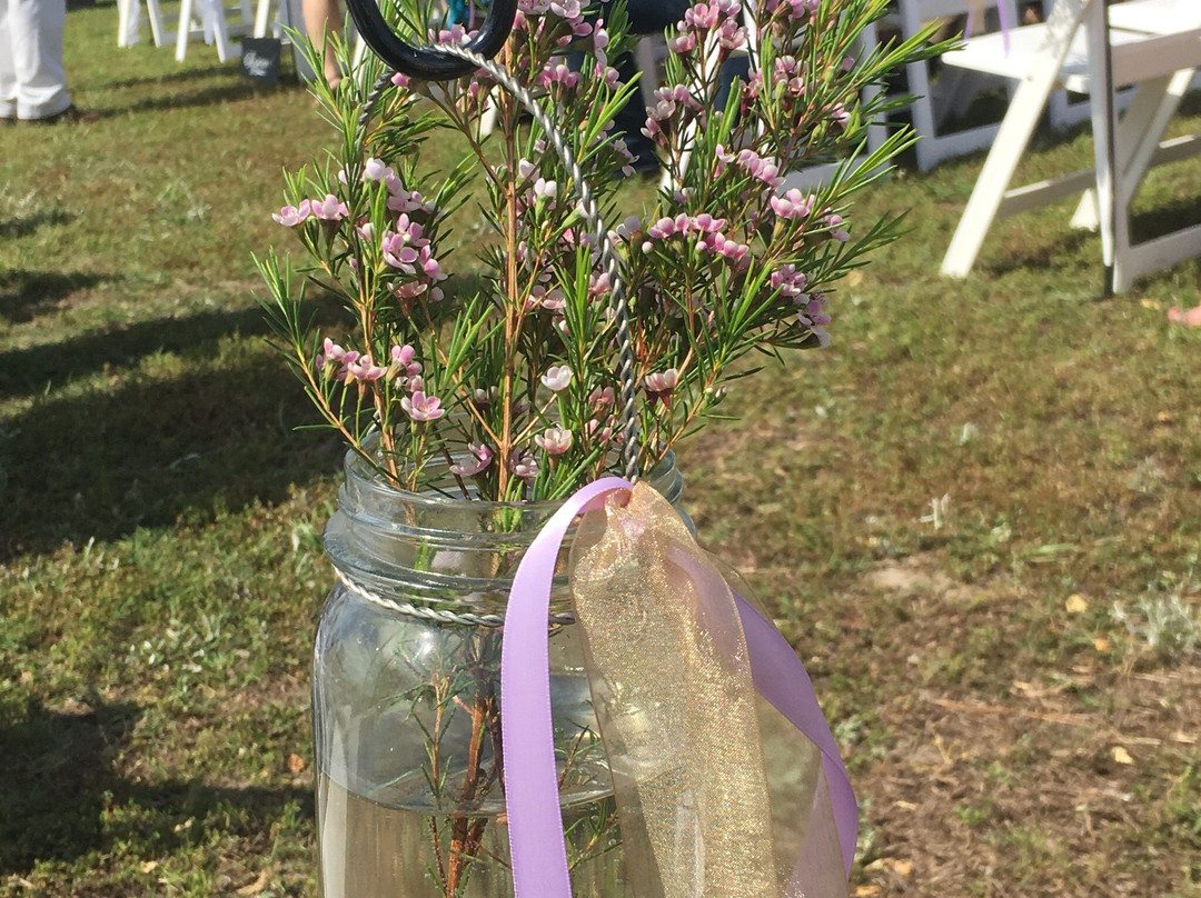 The Cotton Gin-Grandy必去景点