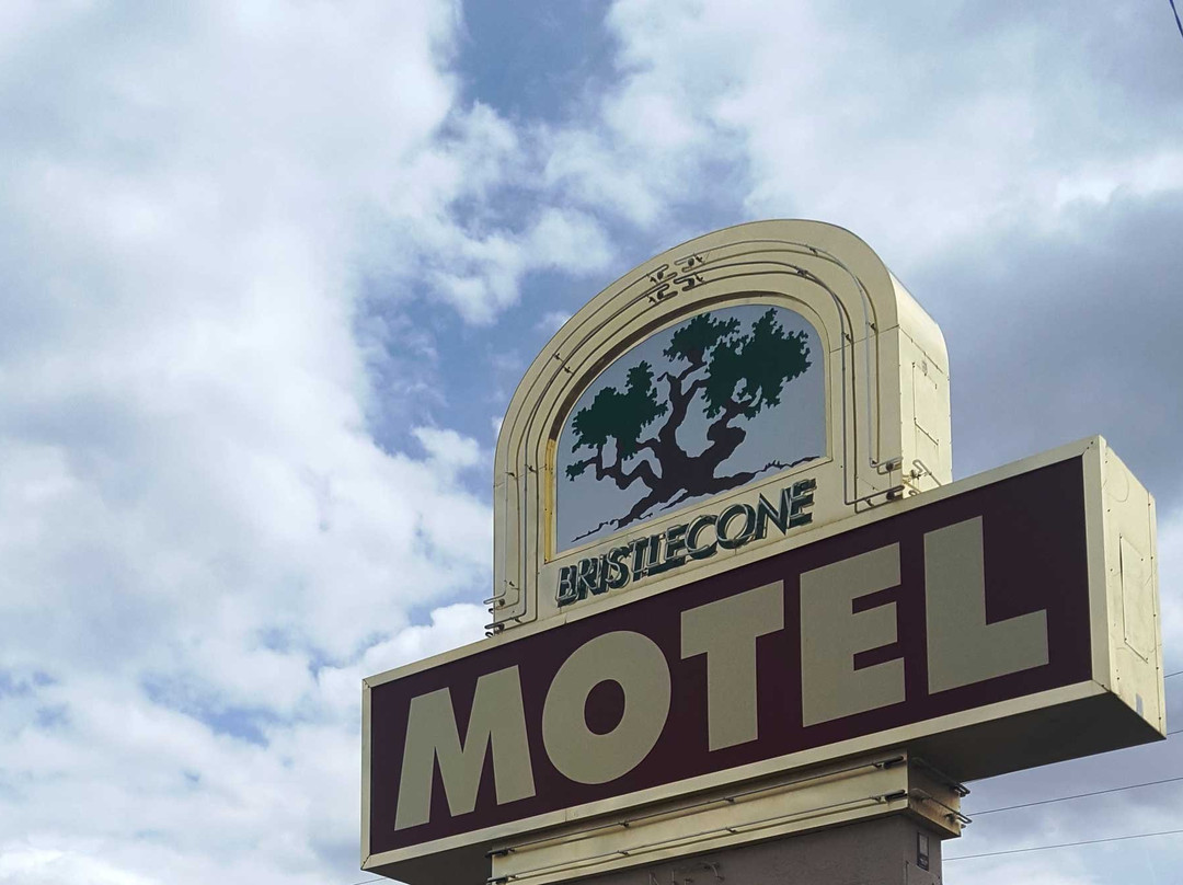 Bristlecone Motel主图
