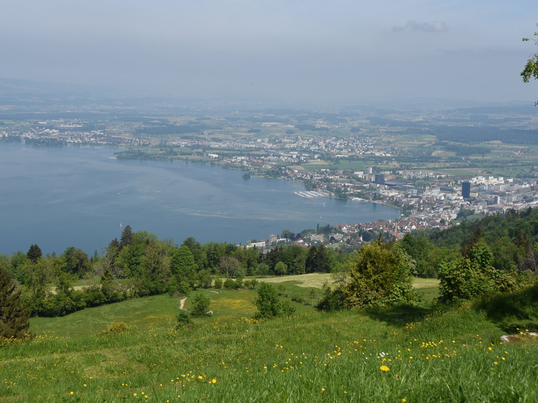 Zugerberg bahn景点图片