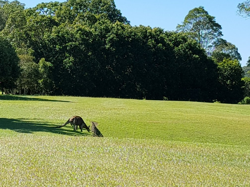 Noosa Valley Golf Club景点图片