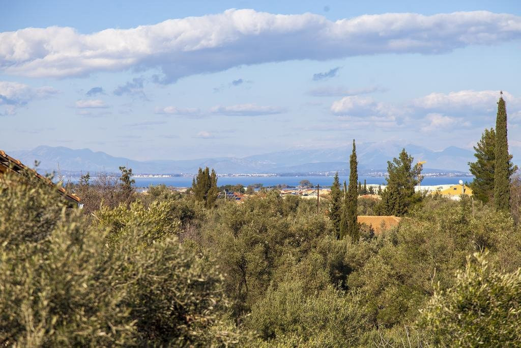 Apolpaina Luxury apartments主图