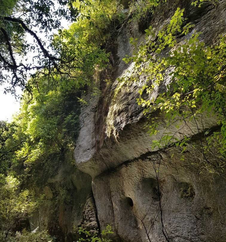 Waitomo Caves Tours & Transfers-怀托摩洞穴必去景点