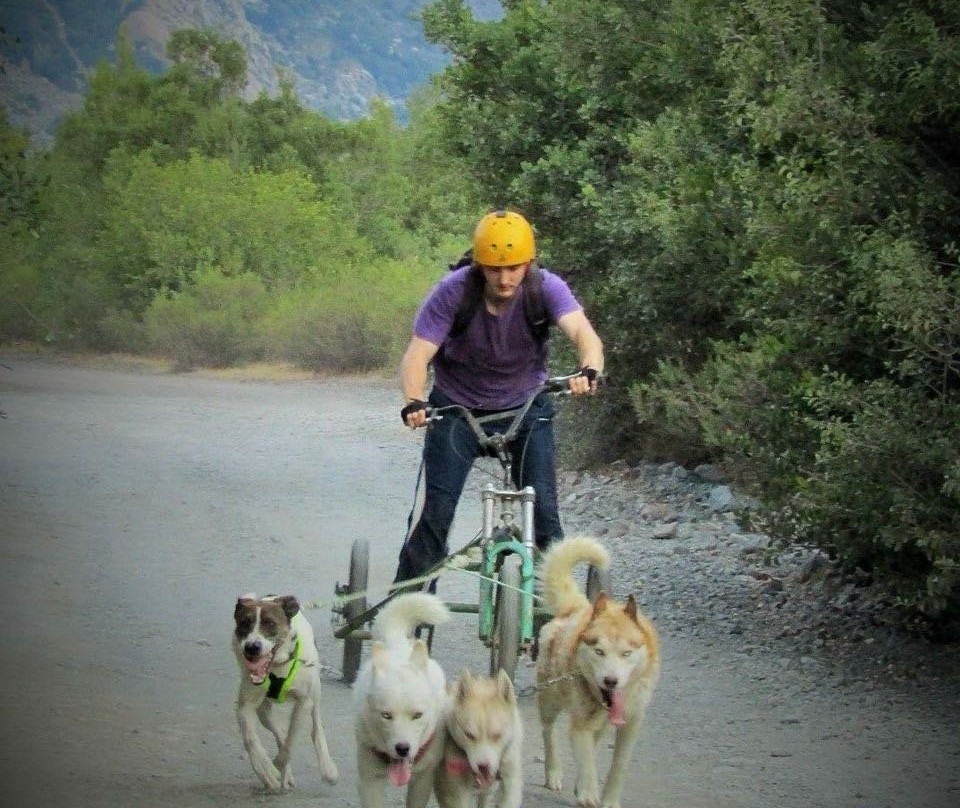 Husky Point-Curacautin必去景点