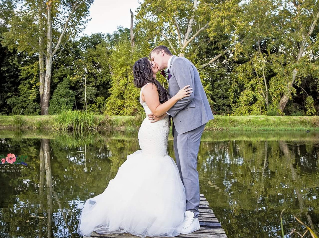 Toadbury Hall Country Hotel主图