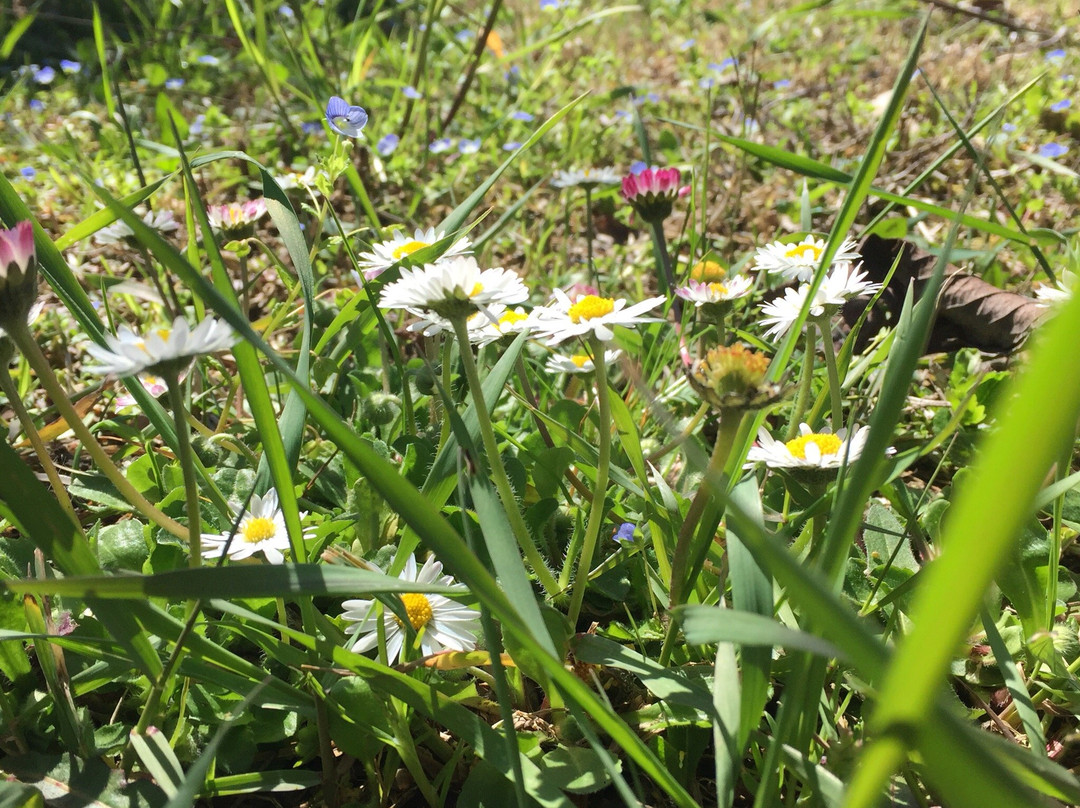 B&B Santopietro主图