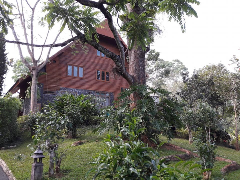 32 Coffee Hill & Resort主图