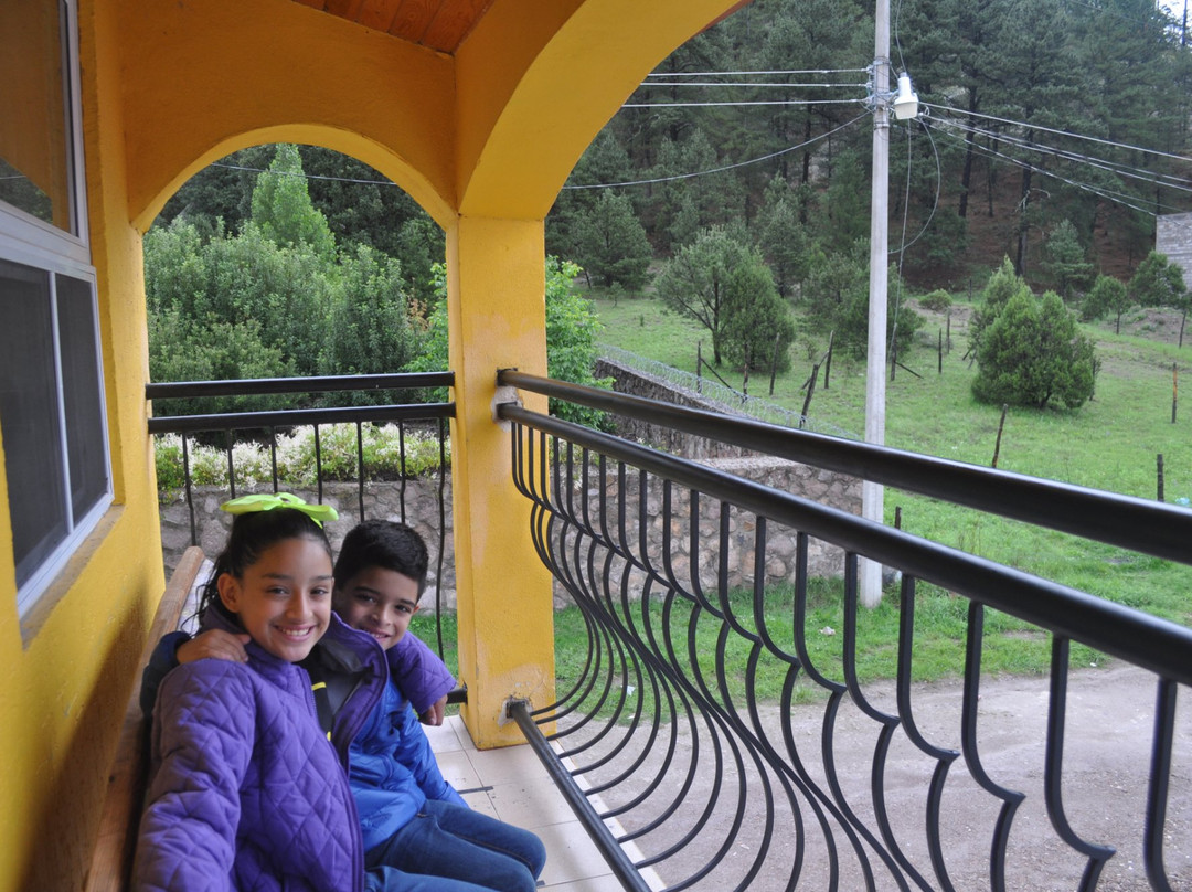 Hotel Ecologico Temazcal主图