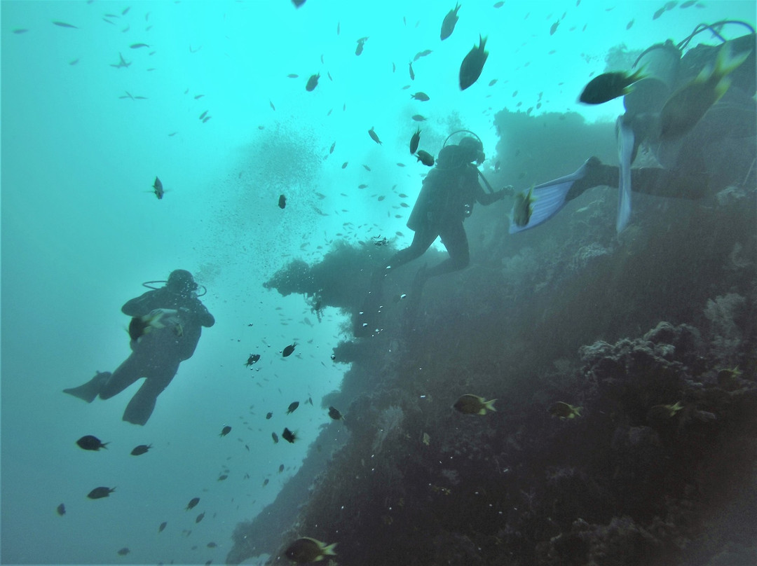 巴里岛潜水景点图片