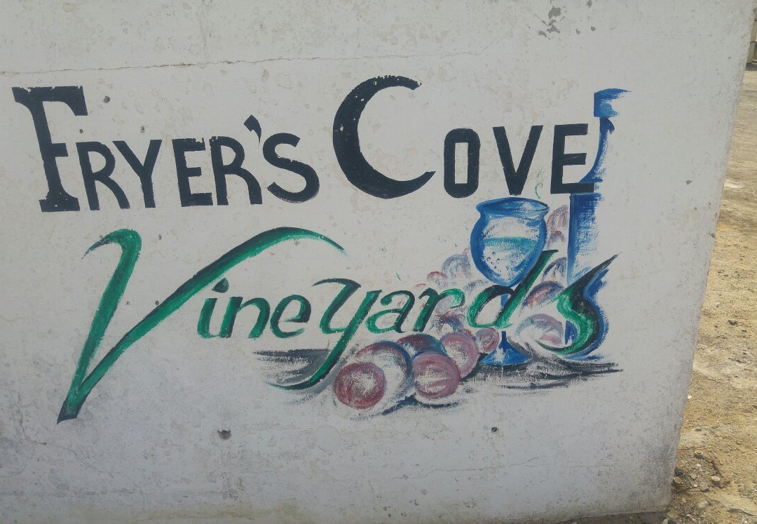 Fryer's Cove Vineyards (Doringbaai)餐厅/美食点评 餐厅地址/餐厅电话/餐厅周边信息/餐厅推荐菜