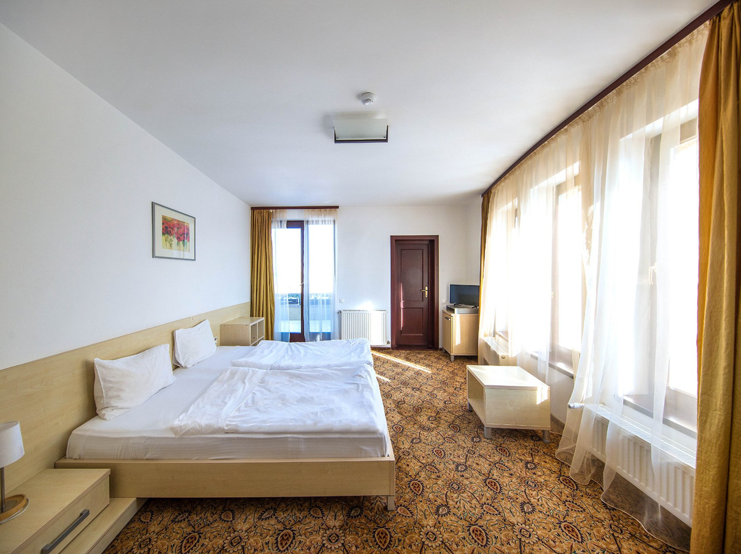 AselTur Brasov主图