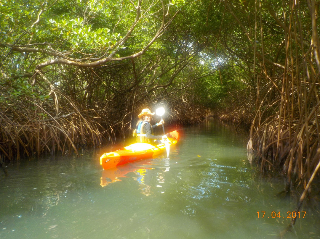 Kayak Evasion Martinique景点图片