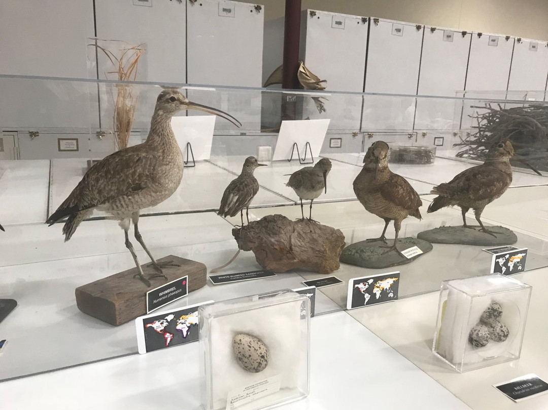 The Western Foundation of Vertebrate Zoology-卡马里奥必去景点