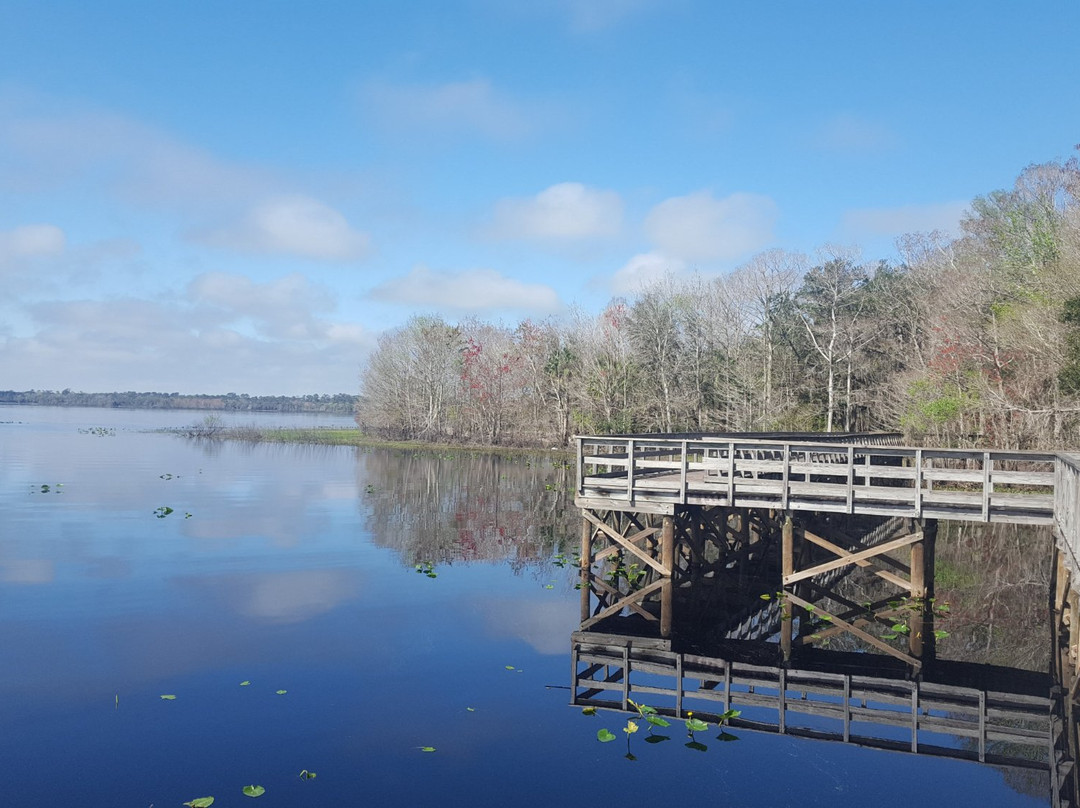 Lake Ashby Park-新士麦那海滩必去景点