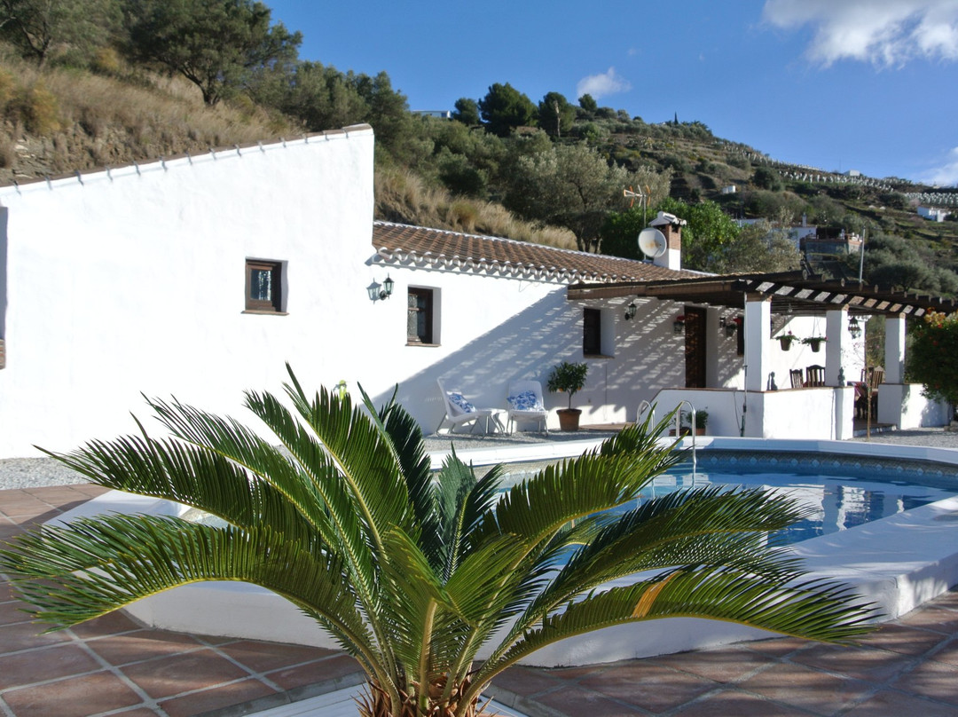 Finca Buena Vida