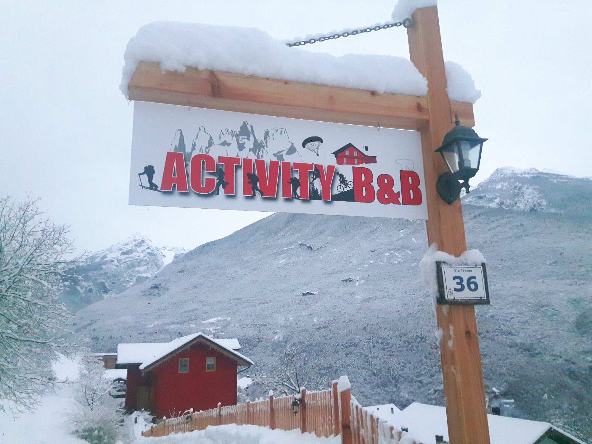 Activity B&B-官方