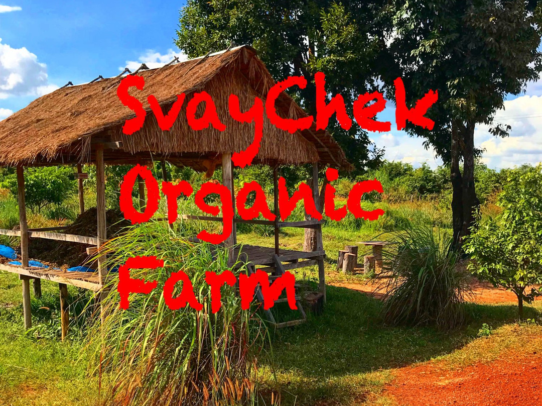 SvayChek Organic Farm-暹粒必去景点