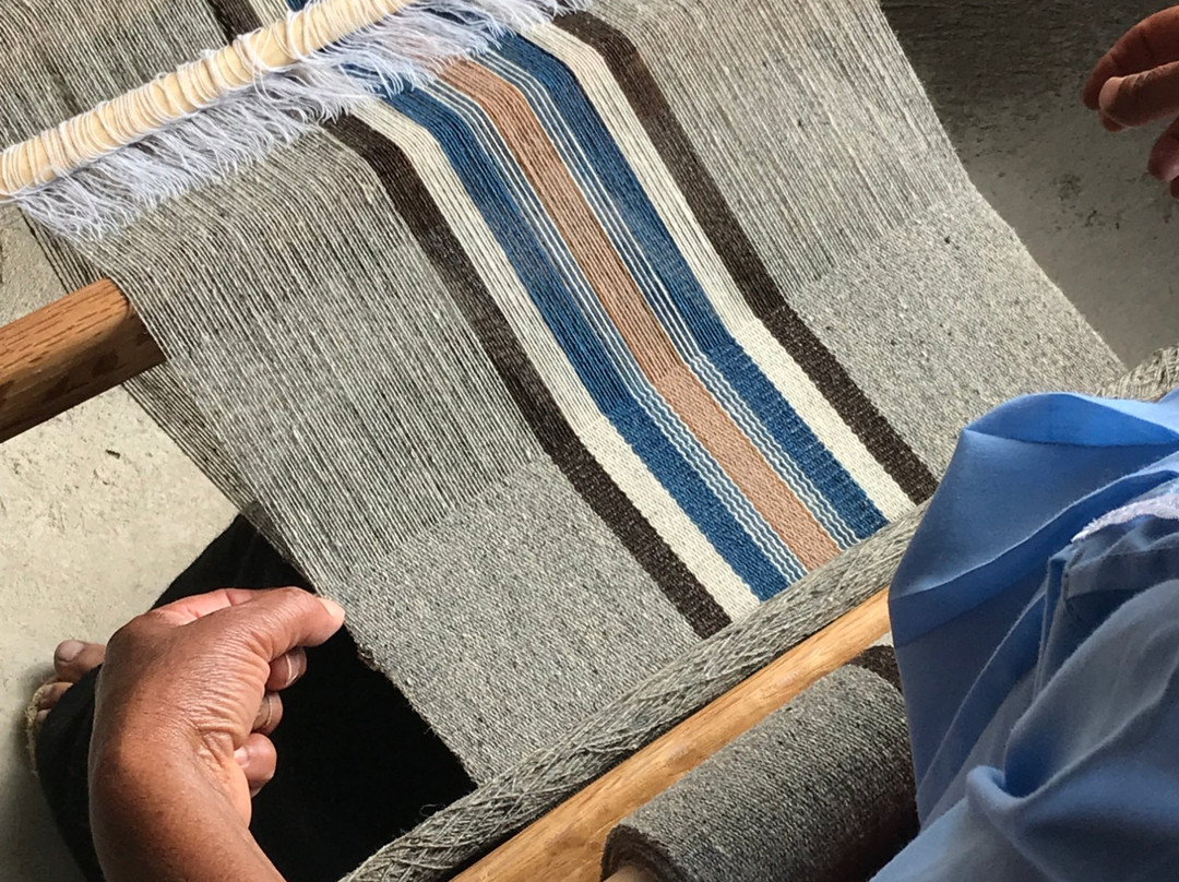 Luna Layne-旧金山必去景点