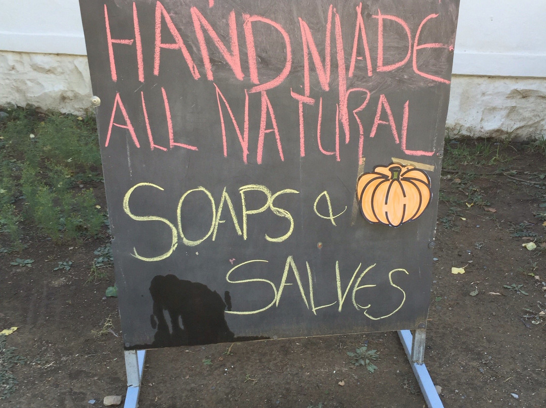 The Honesty Shop-Nieu-Bethesda必去景点