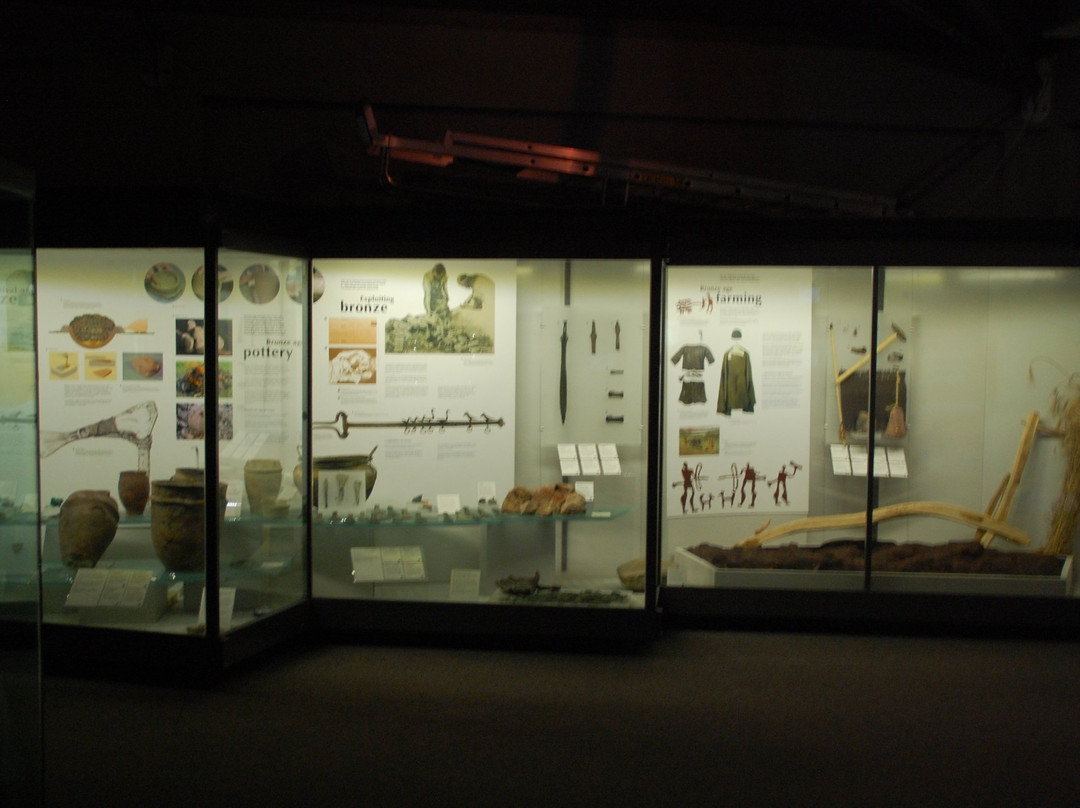 Dover Museum And Bronze Age Boat Gallery景点图片