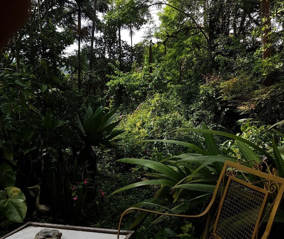 Pouso das Glicinias - B&B主图