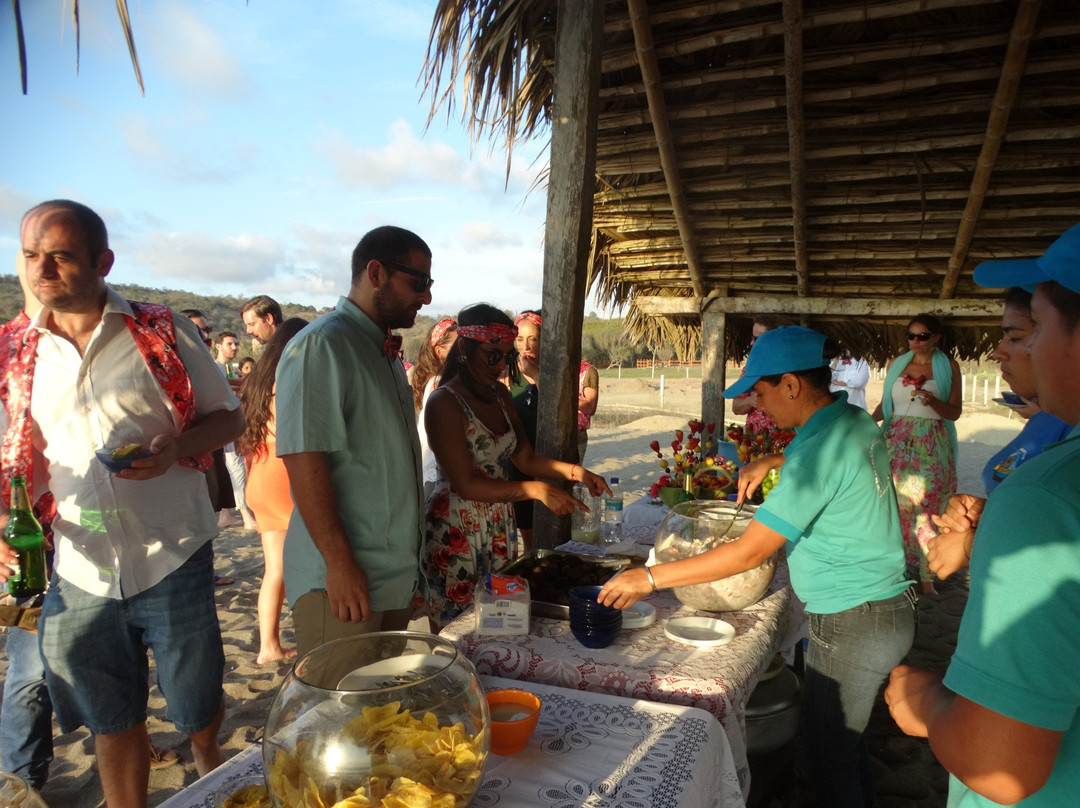 Wipeout Cabana Restaurant主图