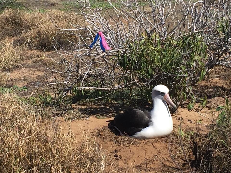 Kaʻena Point Trail-Makaha必去景点