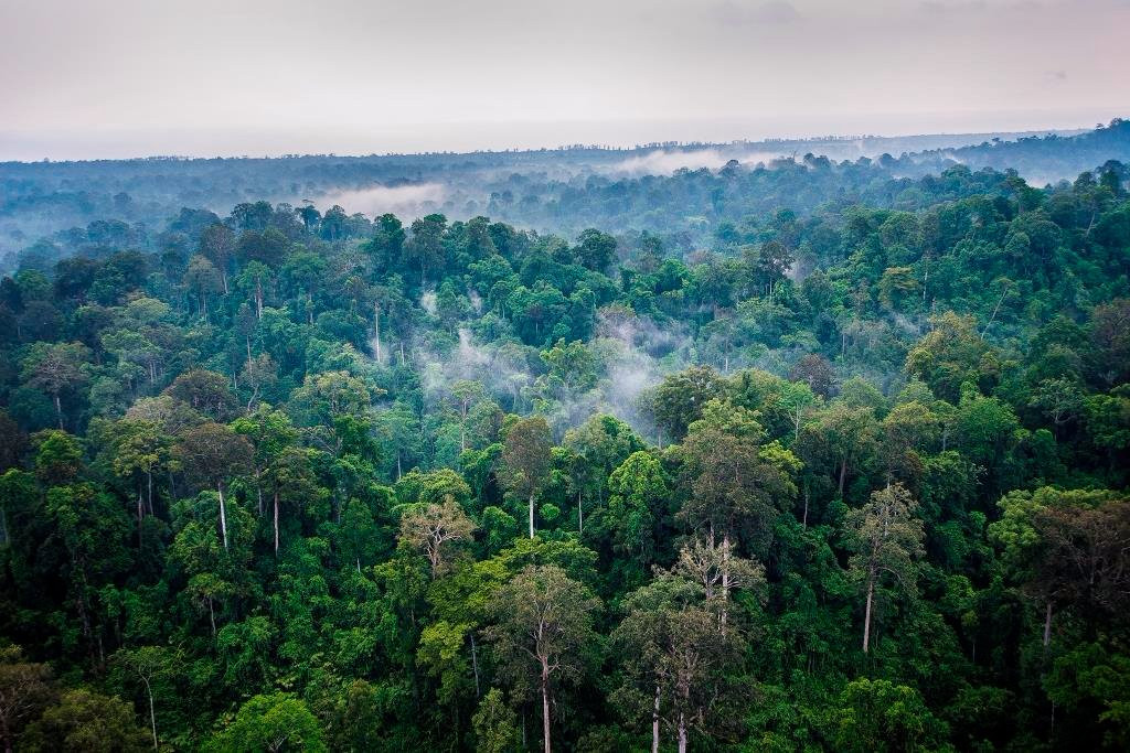 Tambling Wildlife Nature Conservation-班达楠榜必去景点