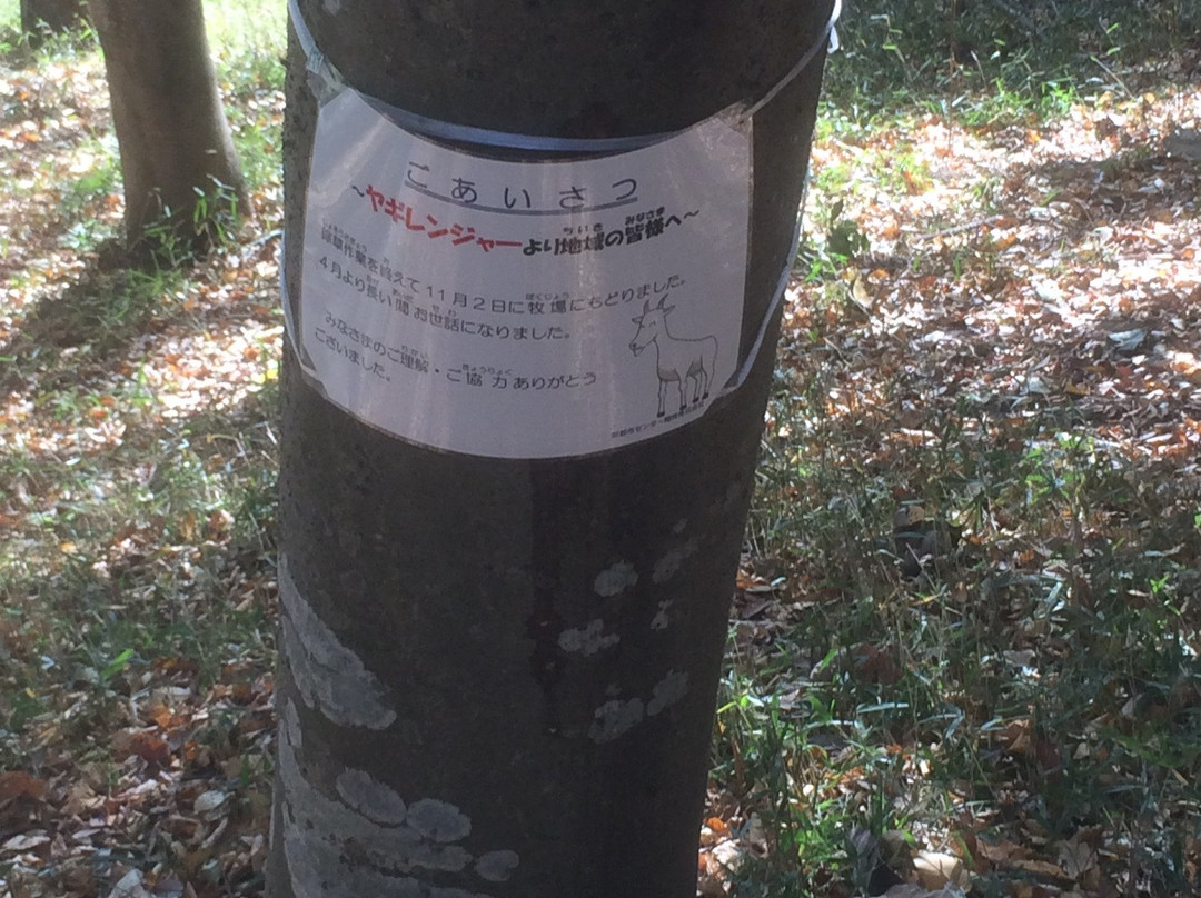 Ipponsugi Park-多摩市必去景点