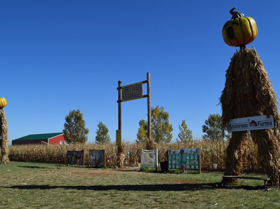 Anderson Farms-Erie必去景点