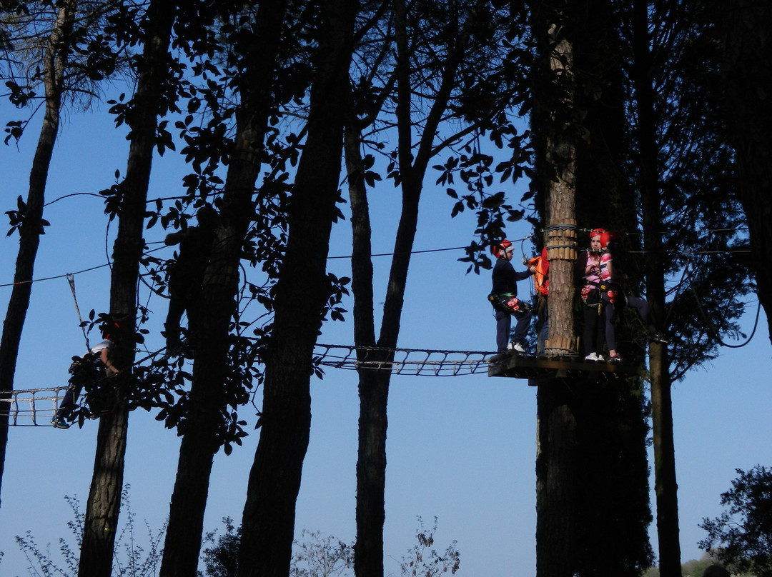 Parcallario Adventure Park into the Monti Iblei景点图片