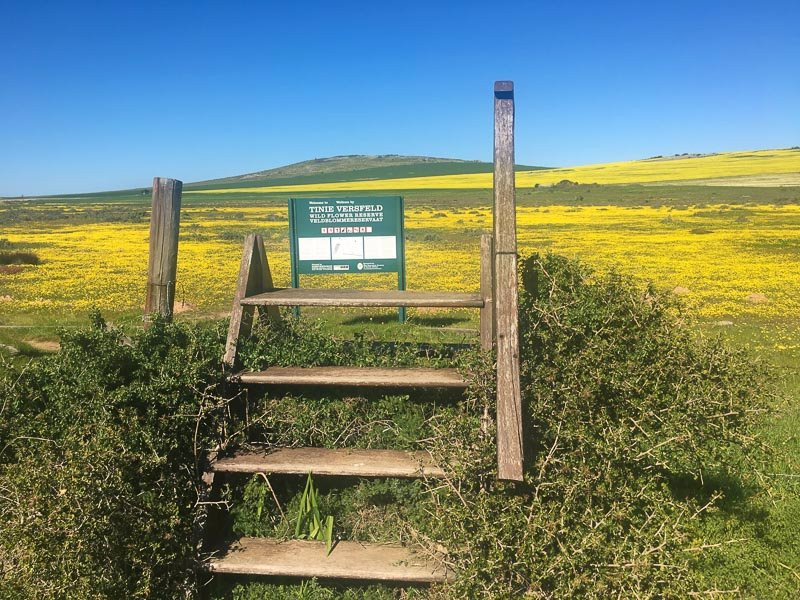 Tienie Versfeld Wildflower Reserve-Darling必去景点